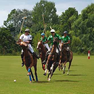 Argentina Polo Holidays | Horse Nutrition for Intense Polo Competitions