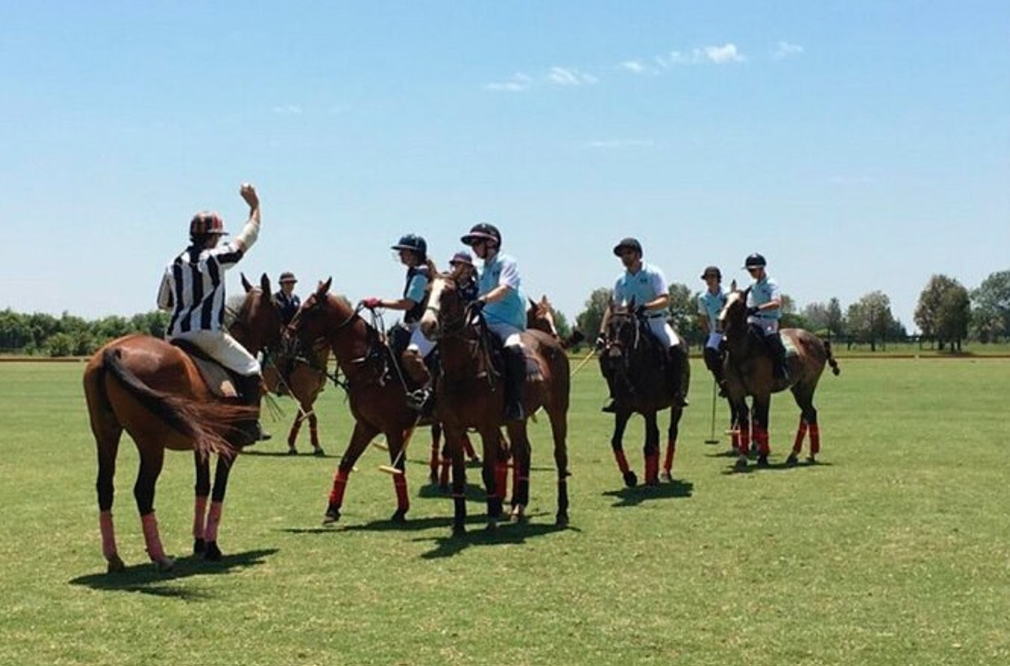 Argentina Polo Holidays | Playing Polo in Argentina: A Unique Travel Experience