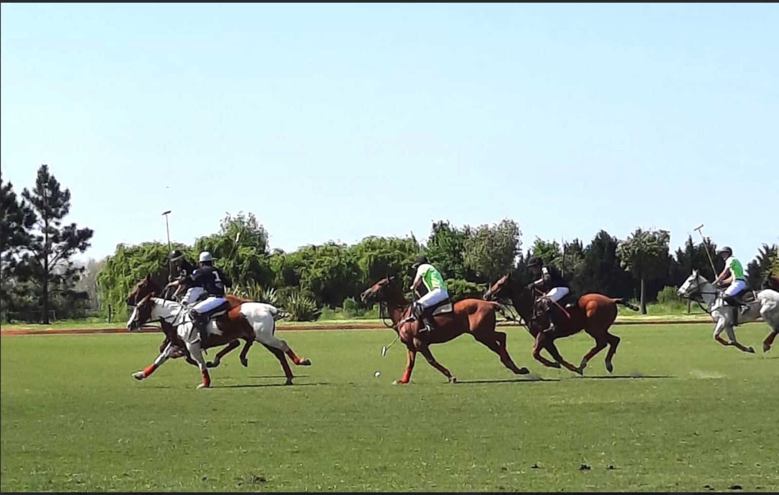 Argentina Polo Holidays | History of Polo in Argentina