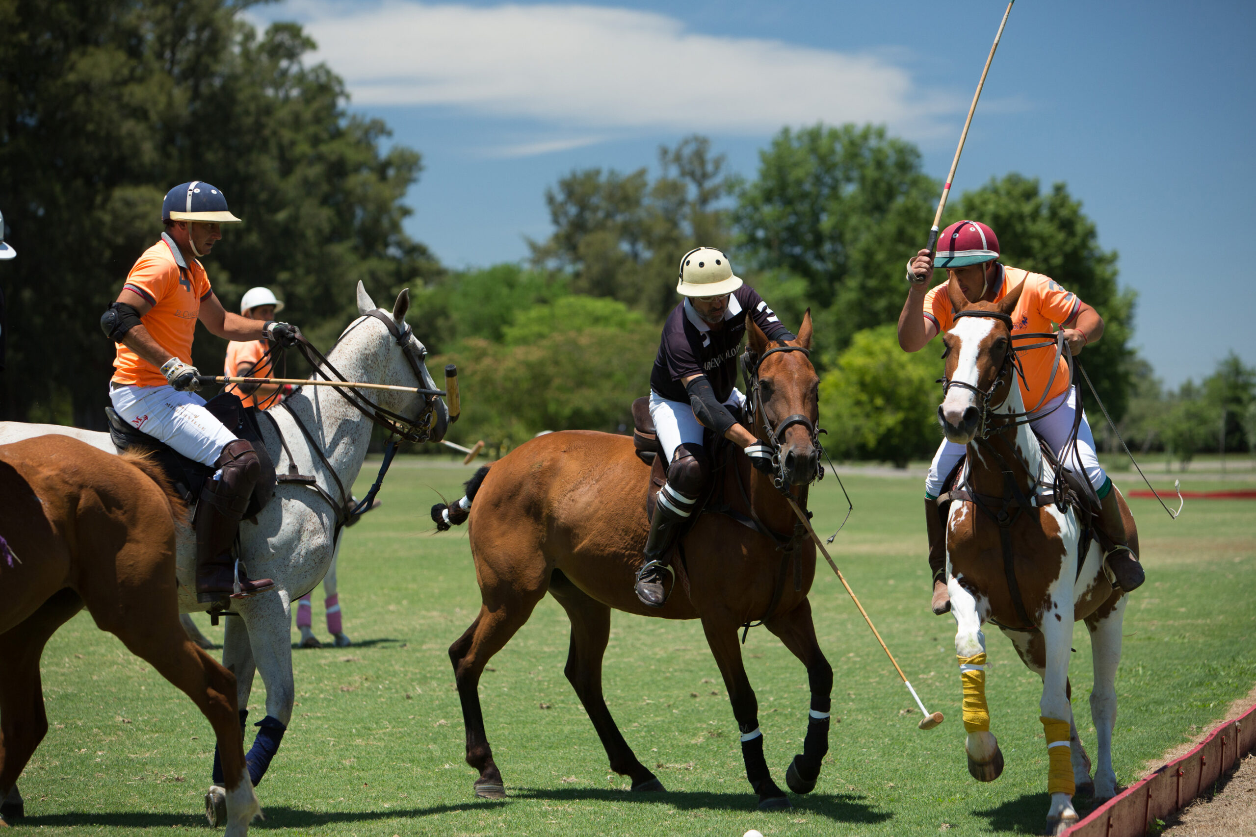 Argentina Polo Holidays | Polo Gear Essentials: A Brief Walkthrough of Mallets, Helmets, and More